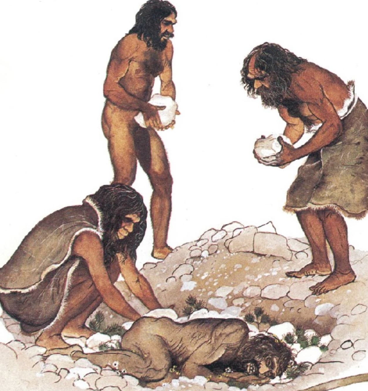 neanderthal graves
